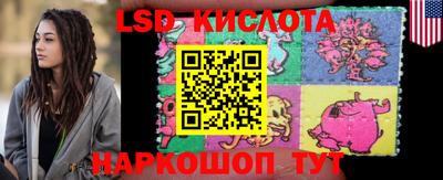 шишки Кандалакша