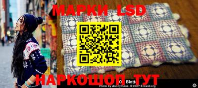 шишки Кандалакша