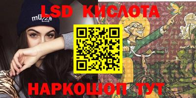 шишки Камышлов