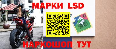 шишки Камышлов