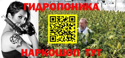 шишки Камышлов