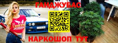 шишки Кандалакша