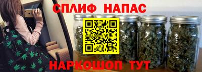 шишки Камышлов