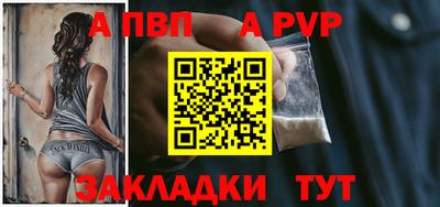шишки Кандалакша