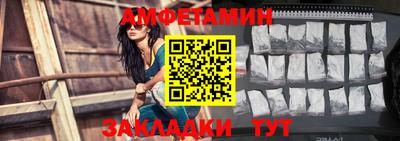 шишки Кандалакша