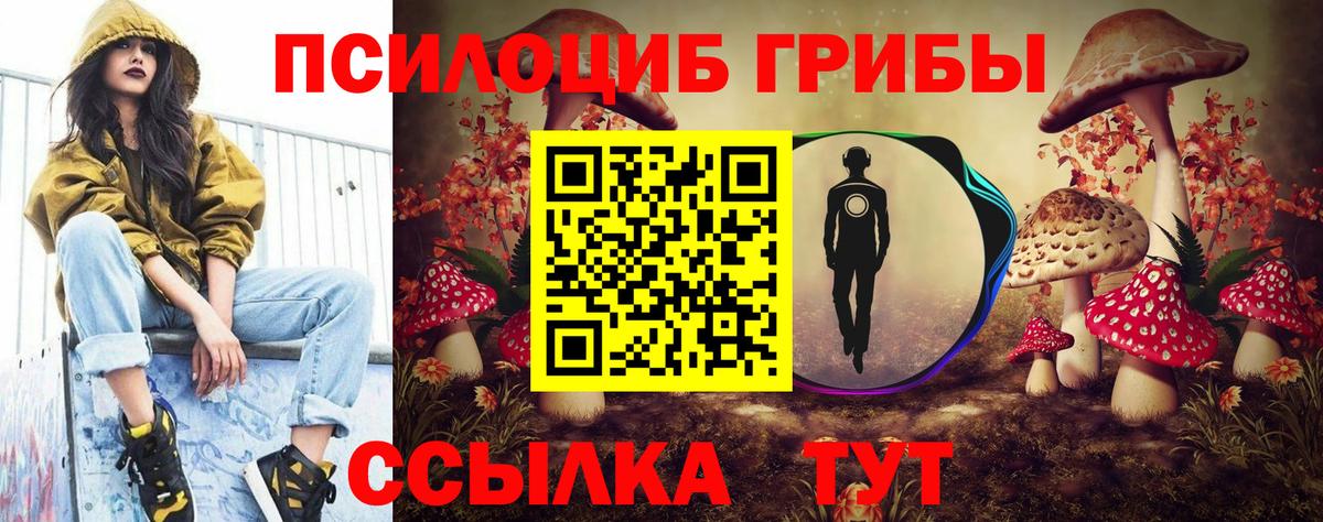 купить   Вход с VPN  Кстово  Псилоцибиновые грибы Psilocybe 